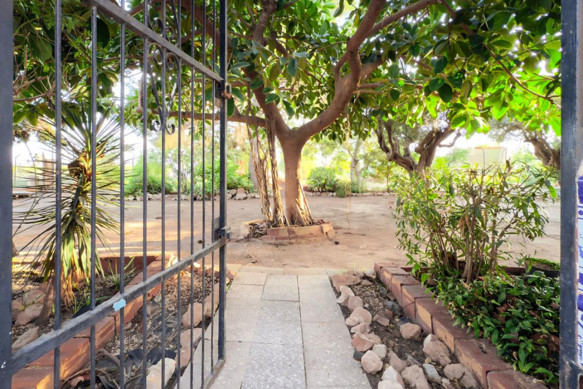 Resale - Country House - Los Montesinos - los montesinos