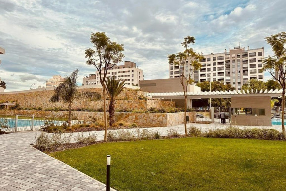 Revente - Appartement - Alicante - Pau V