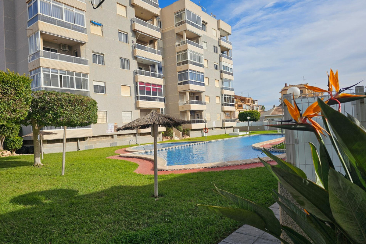 Reventa - Apartamento / piso - Torrevieja - Torreblanca