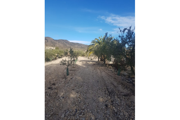 Resale - Country House - monovar