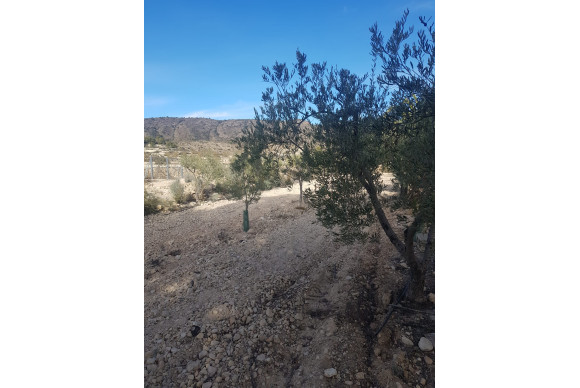 Resale - Country House - monovar