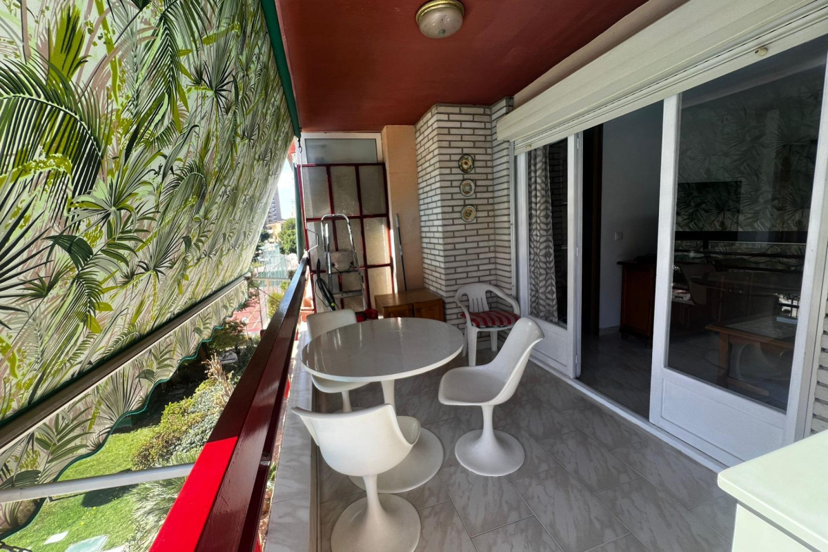 Long Term Rental - Apartment  - Alicante - Deportista Miriam Blasco