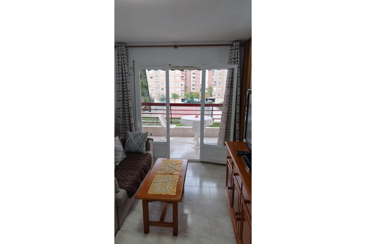 Long Term Rental - Apartment  - Alicante - Deportista Miriam Blasco