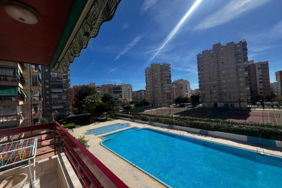 Long Term Rental - Apartment  - Alicante - Deportista Miriam Blasco