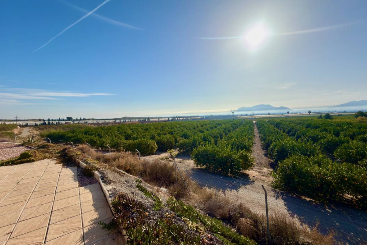 Herverkoop - Landelijke Woning-Finca - Orihuela Costa - Orihuela