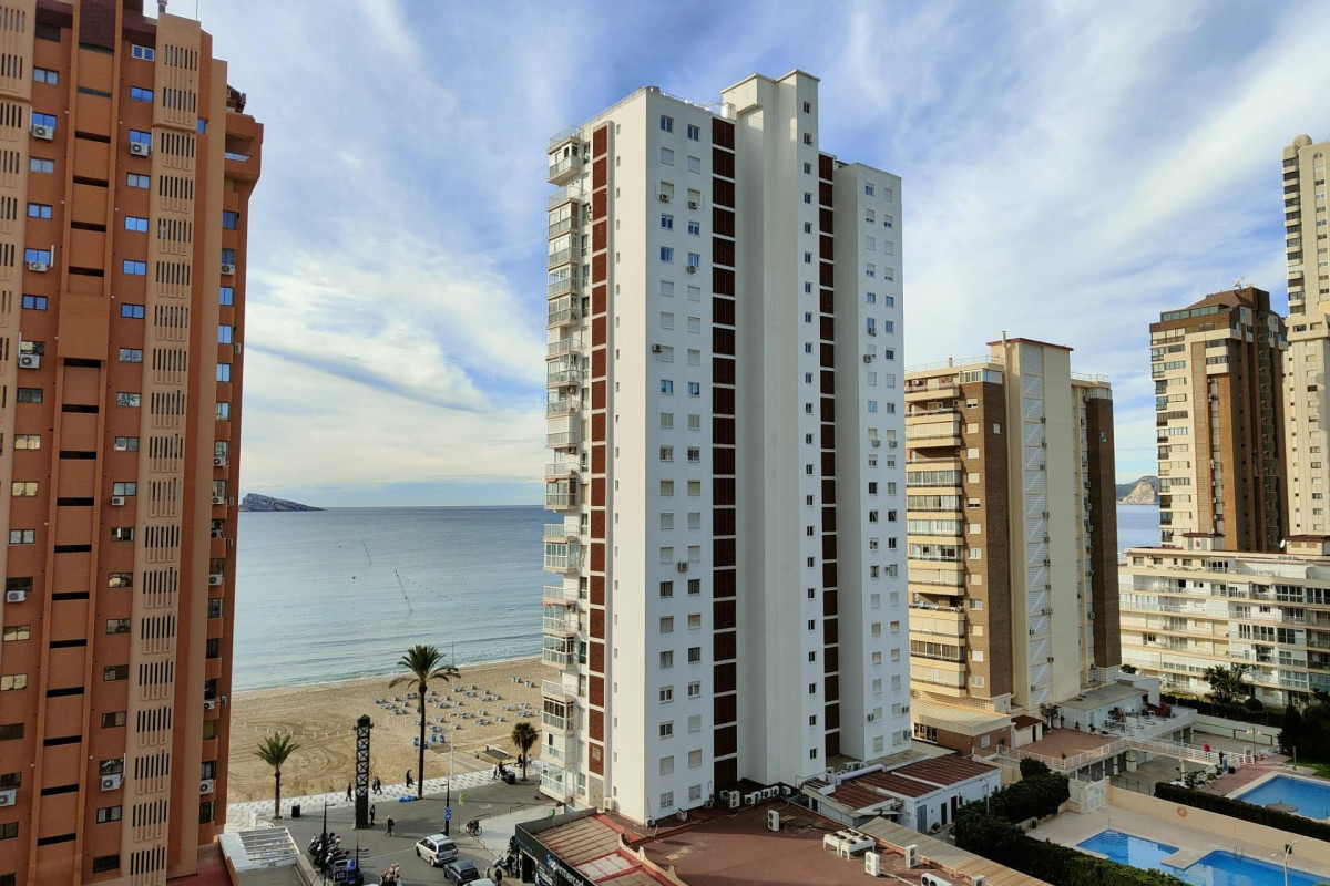 Resale - Apartment  - Benidorm - Playa de Levante