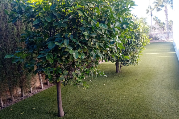 Revente - Detached Villa - Algorfa - La Finca Golf Resort