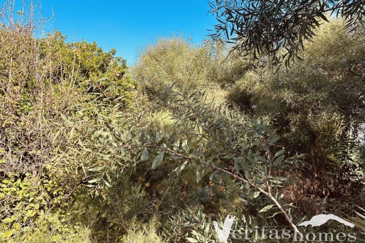 Resale - Villa - Mojacar Playa