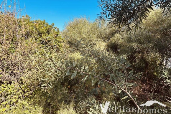 Resale - Villa - Mojacar Playa