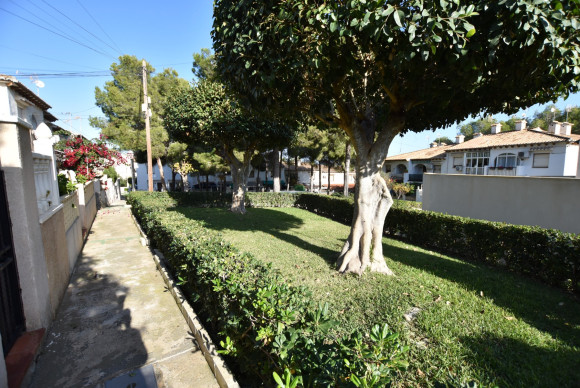 Reventa - Terraced house / Townhouse - Torrevieja - Lago Jardín II