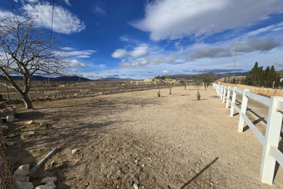 Resale - Country House - monovar