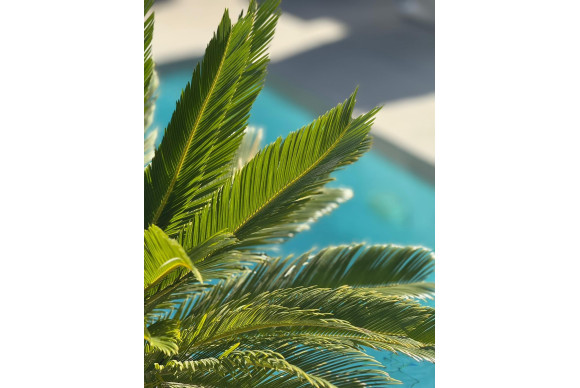 Herverkoop - Villa - Orihuela Costa - PAU 26