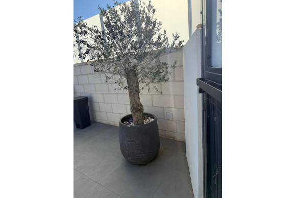 Herverkoop - Villa - Orihuela Costa - PAU 26