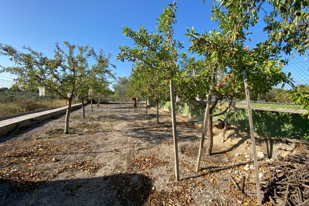 Reventa - Country House - SAX