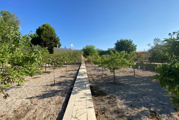 Reventa - Country House - SAX