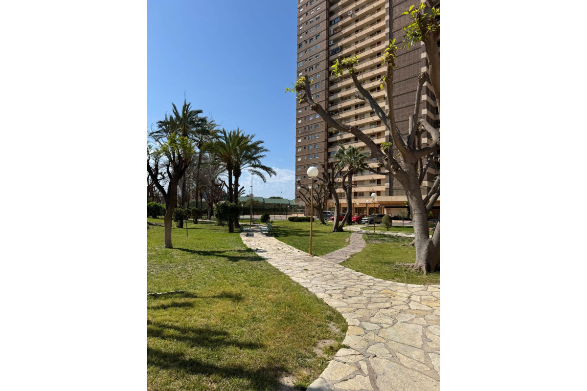 Lange Termijn Verhuur - Appartement  - San Juan de Alicante - Avda costablanca
