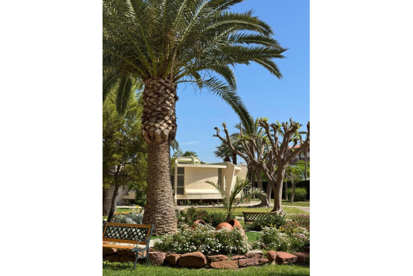 Nouvelle construction - Appartement - San Juan Playa - Cabo de las huertas