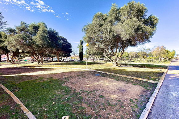 Herverkoop - Appartement - Orihuela Costa - La Florida