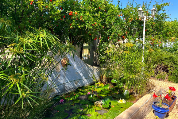 Resale - Country House - Novelda