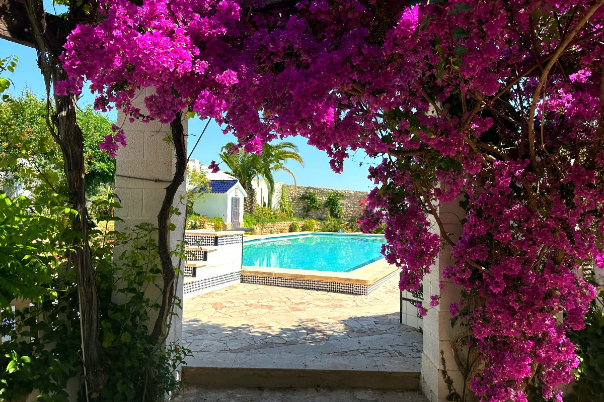 Resale - Country House - Novelda