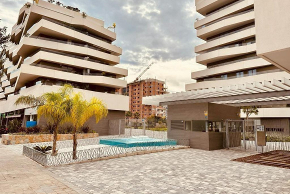 Herverkoop - Appartement  - Alicante - Pau V