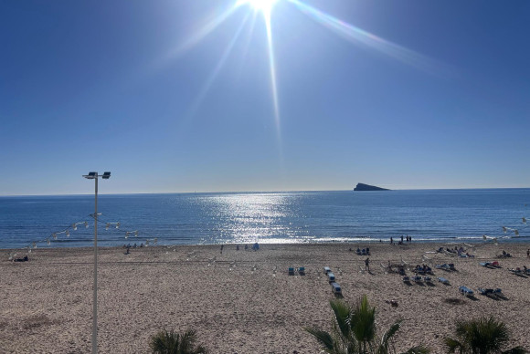 Herverkoop - Appartement  - Benidorm - Avenida del Mediterraneo