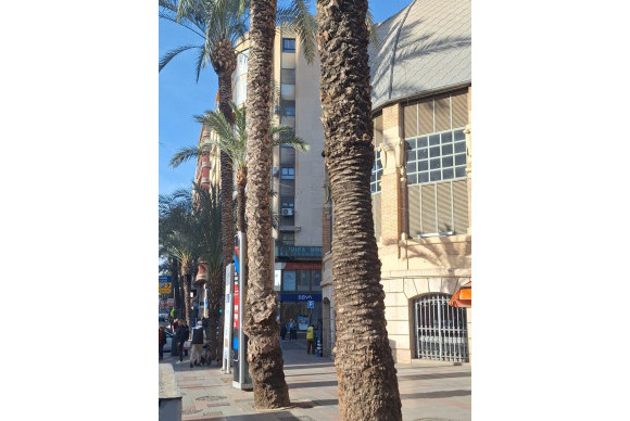 Herverkoop - Winkel - Alicante - Centro