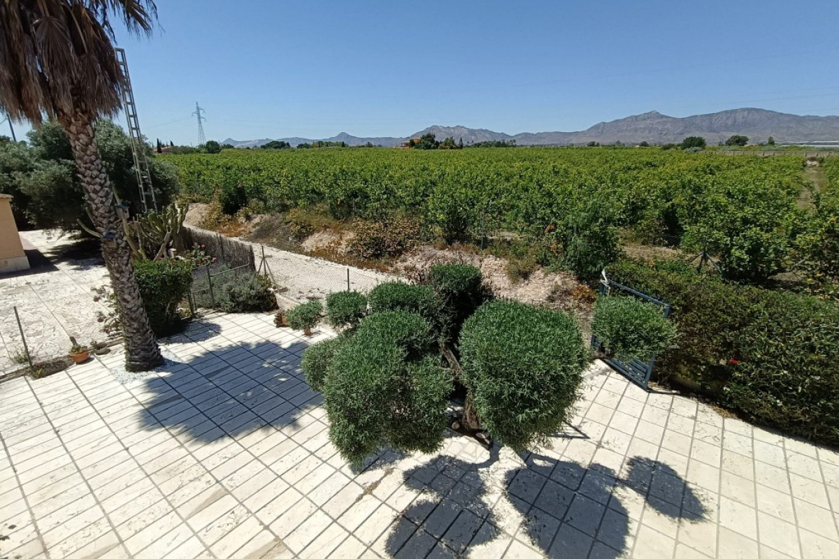 Herverkoop - Landelijke woning - ALBATERA