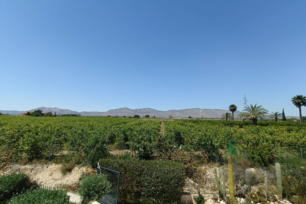 Herverkoop - Landelijke woning - ALBATERA