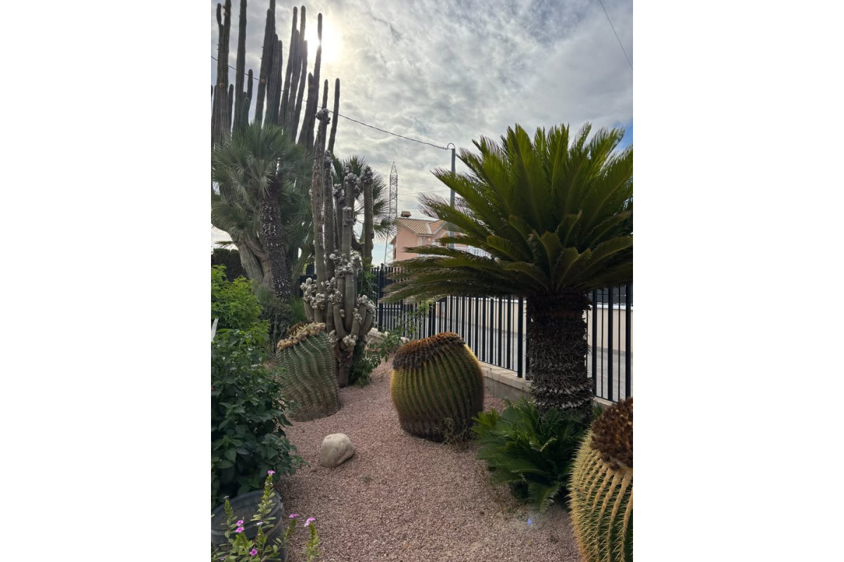 Revente - Country House - Elche