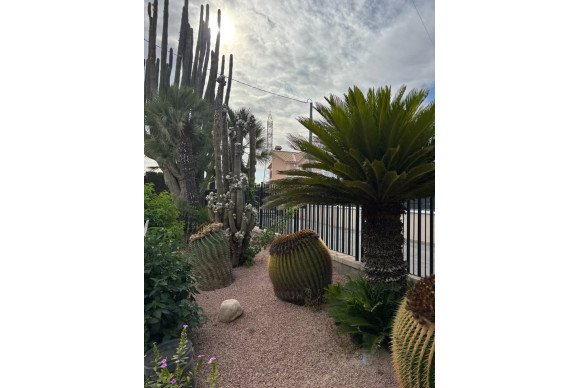 Revente - Country House - Elche