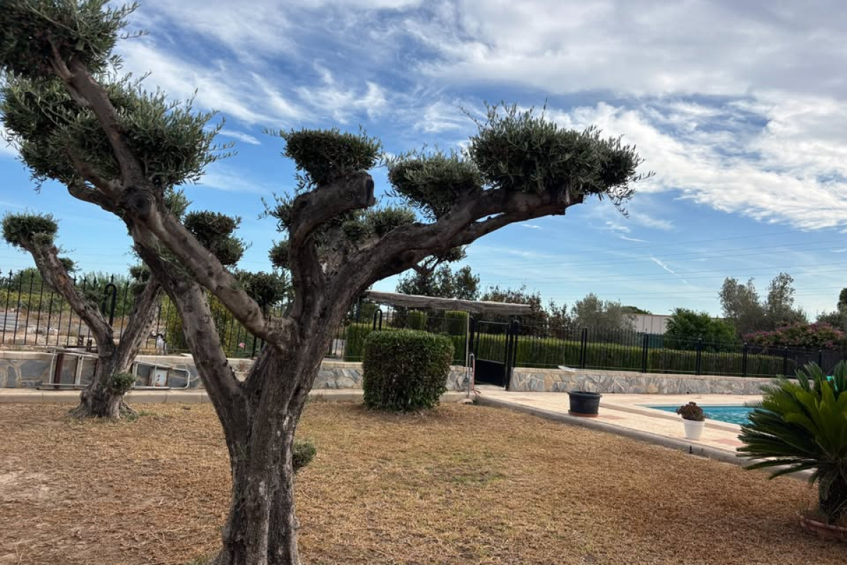 Revente - Country House - Elche