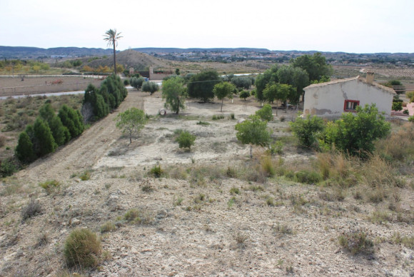 Reventa - Country House - Alicante