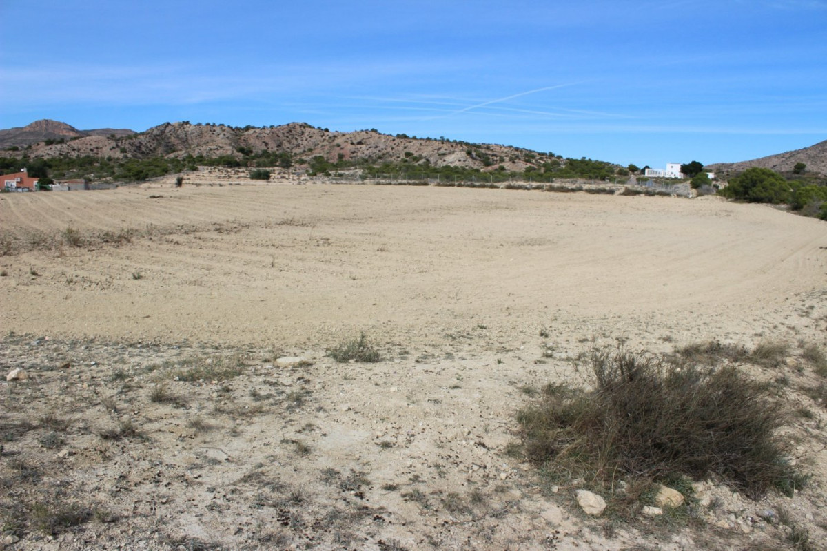 Reventa - Country House - Alicante