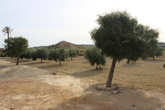 Reventa - Country House - Alicante