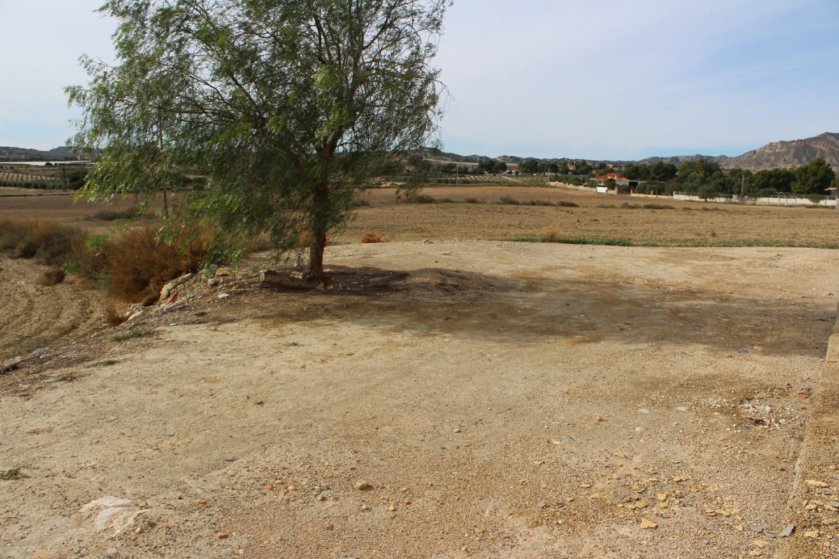 Reventa - Country House - Alicante