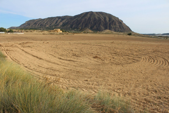 Reventa - Country House - Alicante