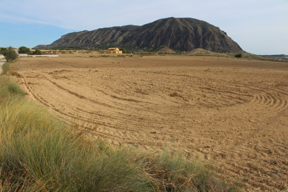 Reventa - Country House - Alicante