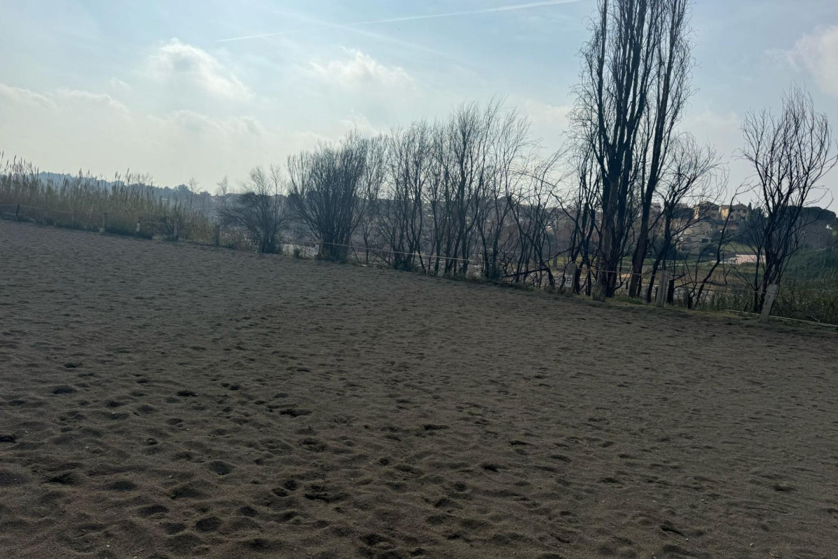 Resale - House - Riba - Roja de Turia - Comunidad valenciana