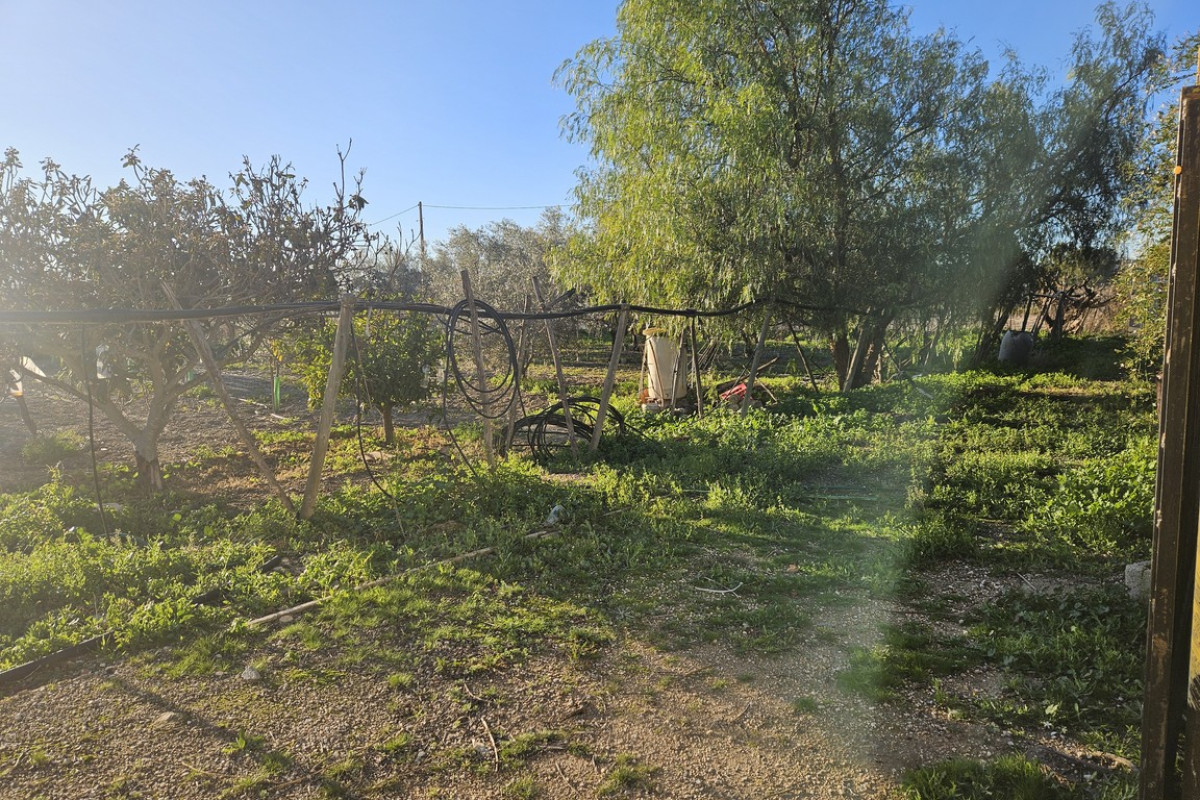 Reventa - Country House - Novelda