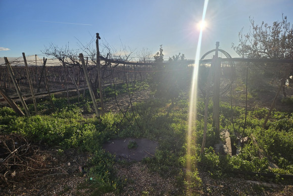 Reventa - Country House - Novelda