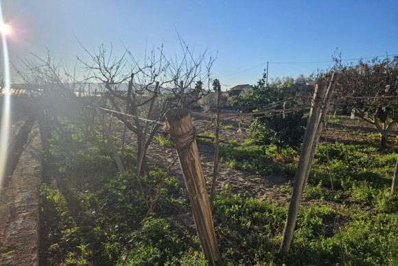 Reventa - Country House - Novelda