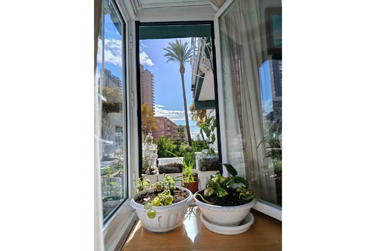 Herverkoop - Apartment / flat - Benidorm - Levante