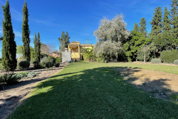 Herverkoop - Landelijke Woning-Finca - Daya Nueva