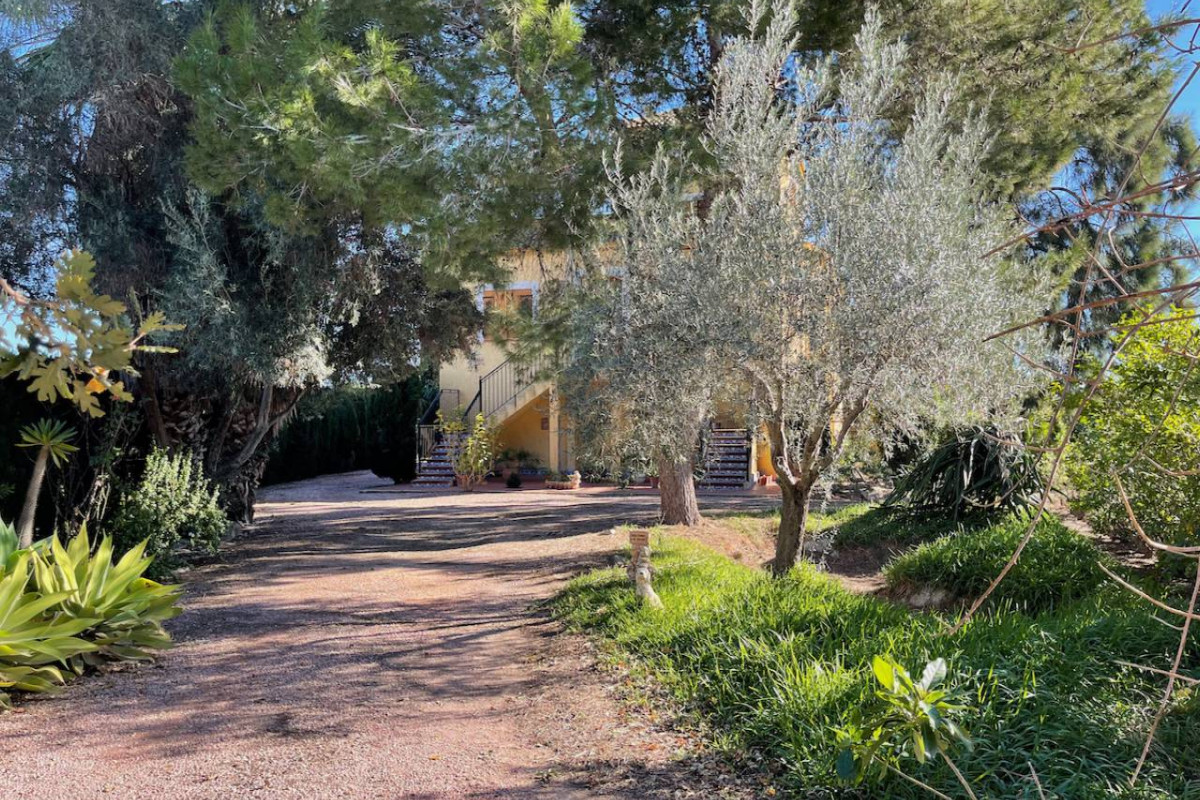 Herverkoop - Landelijke Woning-Finca - Daya Nueva