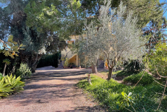 Herverkoop - Landelijke Woning-Finca - Daya Nueva