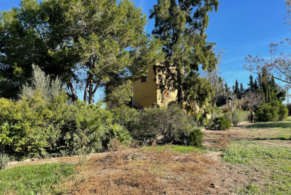 Herverkoop - Landelijke Woning-Finca - Daya Nueva