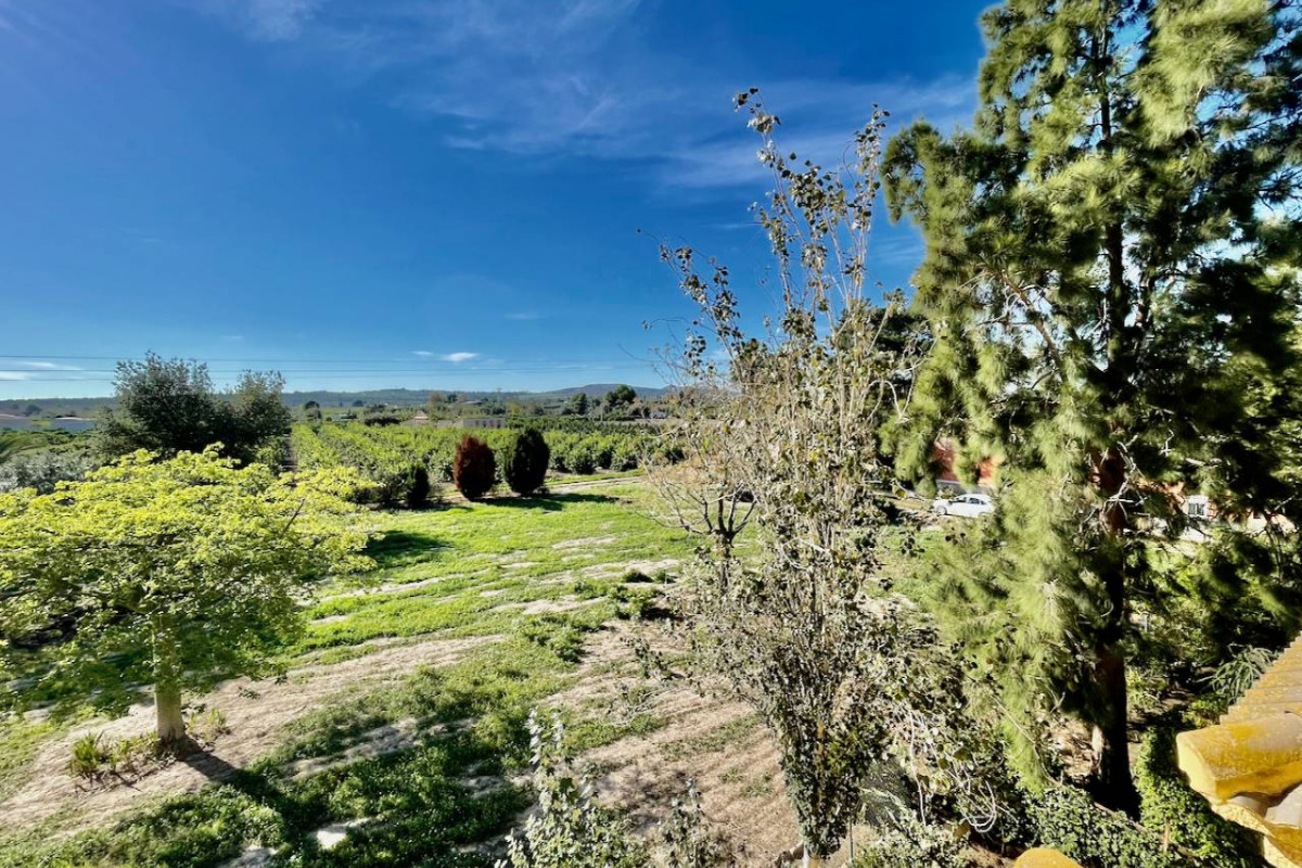 Herverkoop - Landelijke Woning-Finca - Daya Nueva