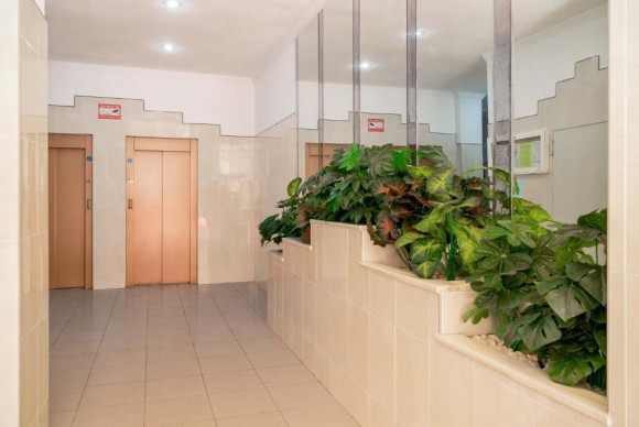 Resale - Apartment  - Torrevieja - Centro
