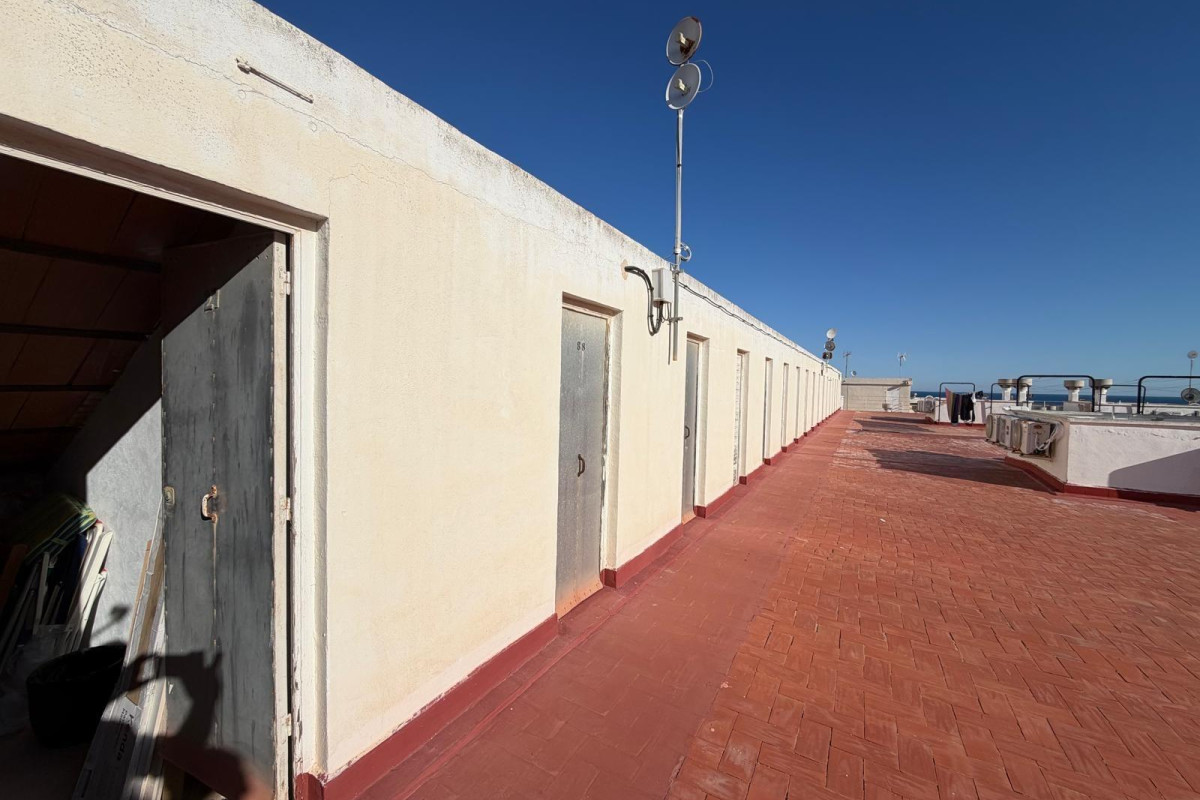 Resale - Apartment  - Torrevieja - Punta prima